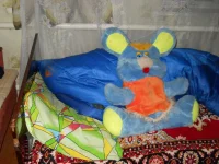 DSCN0058.webp