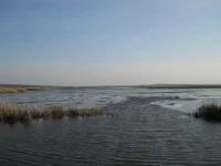 DSCN0060.webp