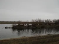 DSCN0071.webp