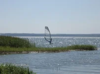 0_12a8_81457b13_XL[1].webp