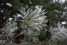 SG101571.webp