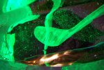 SG102650.JPG