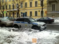 пилица.webp