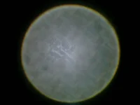 IMG0070A.webp
