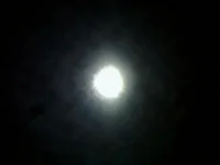 IMG0071A.webp