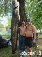 сомярко.webp