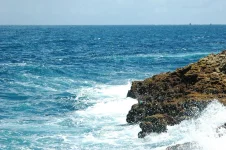 DSC_2306.webp