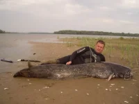 тройник и сом..webp