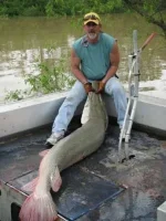alligator_fish_04.webp