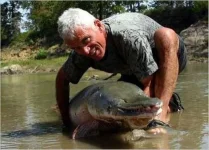 alligator_fish_05.webp