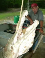 alligator_fish_08.webp