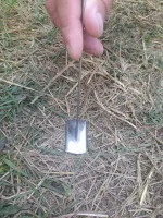 IMG-20220812-WA0007.webp