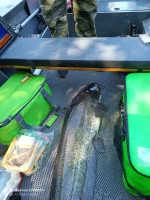 IMG-20220812-WA0004.webp