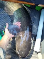 IMG-20220812-WA0003.webp