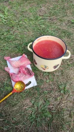 IMG-20220813-WA0001.webp