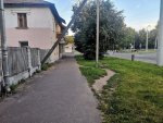 17067026.jpg