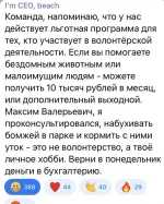 17068435.webp