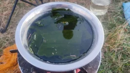 IMG-20220816-WA0010.webp