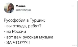 Без названия.webp