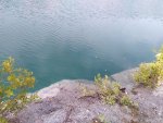 IMG_20210730_091439.jpg