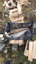 IMG-20220818-WA0037.webp
