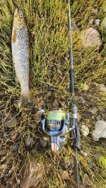 IMG-20220820-WA0015.webp