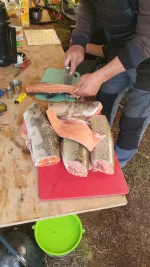 IMG-20220820-WA0020.webp
