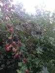 20220821_075157.jpg