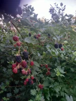20220821_075150.webp
