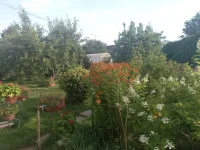 20220821_075401.webp