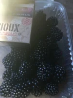 20220821_095801.webp