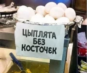 5452976_original.webp
