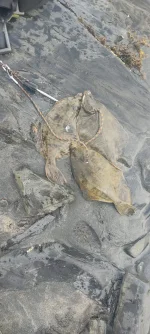 IMG-20220821-WA0004.webp