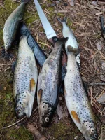 IMG-20220822-WA0002.webp