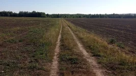 IMG_20220820_074038.jpg