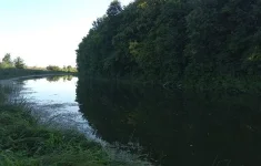 IMG_20220821_071540.jpg