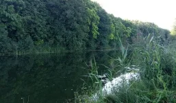IMG_20220821_071528.jpg