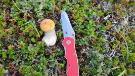 IMG-20220822-WA0015.webp