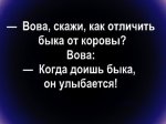1613211849_15195783.jpg