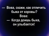 1613211849_15195783.webp