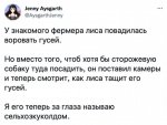1634286755_pressa_tv_yumor_iz_socsetey-14.jpg