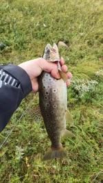 IMG-20220824-WA0011.webp