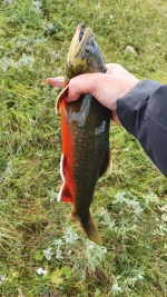 IMG-20220824-WA0016.webp
