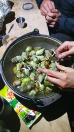IMG-20220824-WA0014.webp
