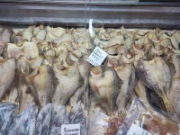 IMG-20220826-WA0004.webp
