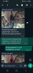 Screenshot_20220827-122440_WhatsApp.jpg Screenshot_20220827-122440_WhatsApp.jpg