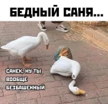 17110483.webp
