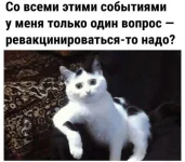 17115742.webp