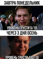 Y2xSZ4-iXEQ.webp