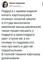 17119092.webp